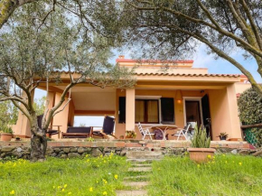 Peonia sunlight villa